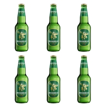 Laden Sie das Bild in den Galerie-Viewer, Moosehead Lager 355 ml 6 Flaschen